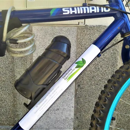 Lägenhet Gardunha Avenida I *