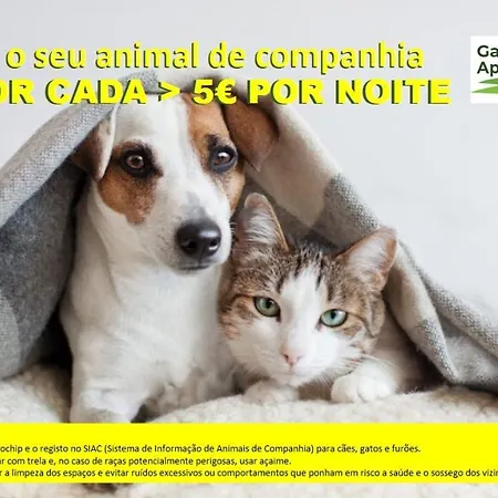 Gardunha Avenida I Fundão
